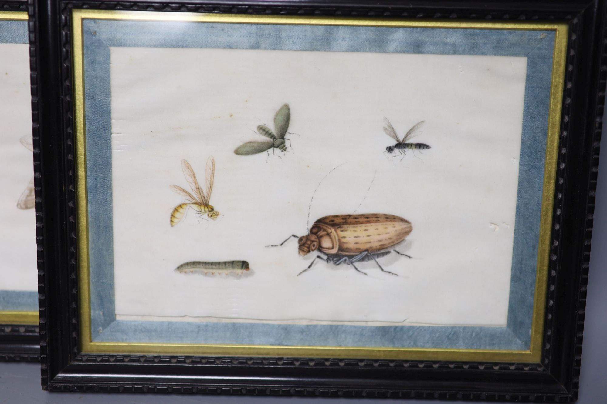 Four 19th century Chinese pith paintings of insects, 14.5 x 19.cm including ribbon border and three pith paintings of, 10 x 7.5cm